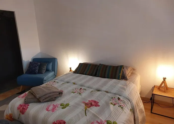 Bel Appartement Spacieux Et Lumineux