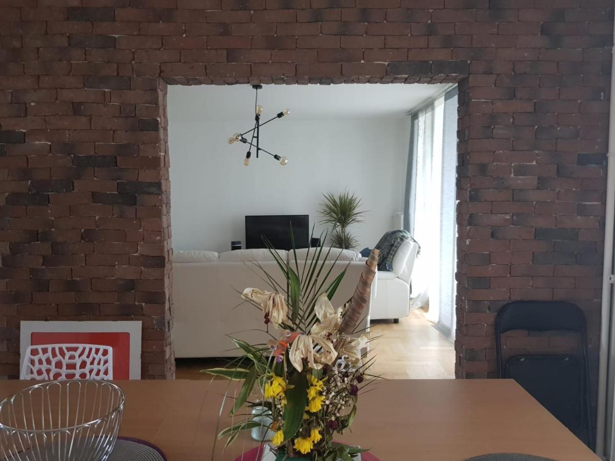 Bel Spacieux Et Lumineux Apartment